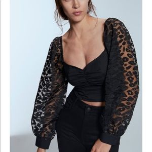 Zara Balloon Sleeve Organza Crop Top